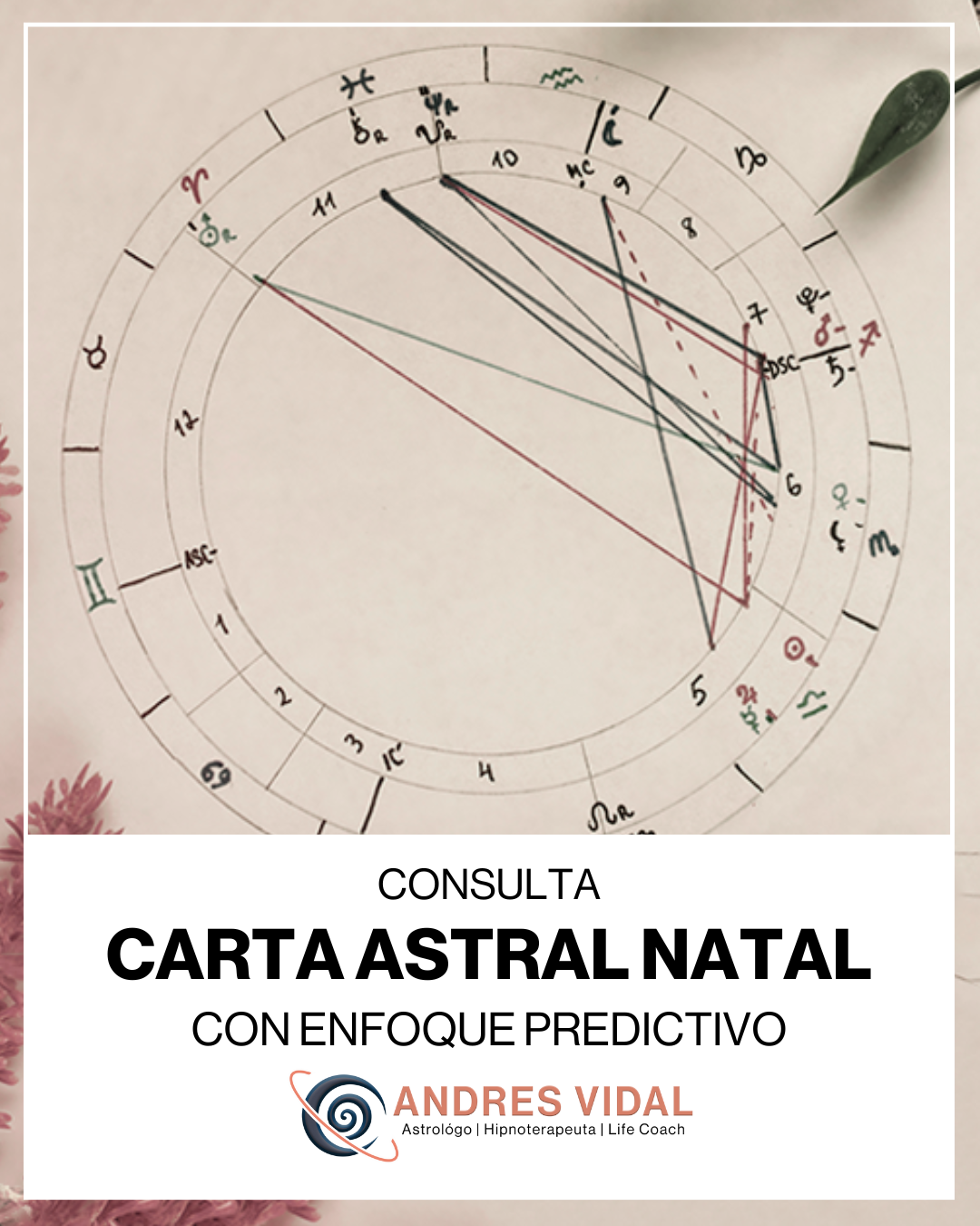 Carta Astral Natal